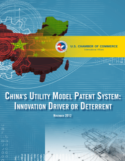 China`s Utility Model Patent System