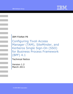 An IBM Proof of Technology