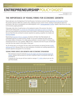 the importance of young firms for economic growth