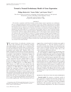 Toward a Neutral Evolutionary Model of Gene Expression