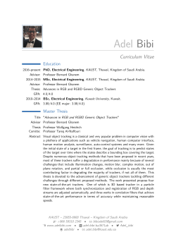 Adel Bibi – Curriculum Vitae