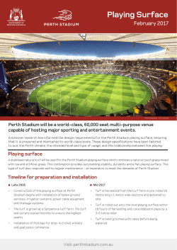 Playing Surface - The Perth Stadium