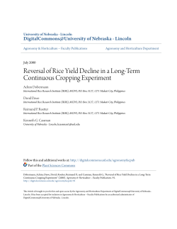Reversal of Rice Yield Decline in a Long