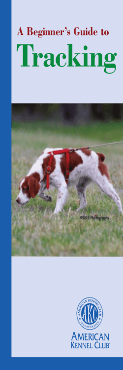 Tracking - American Kennel Club