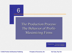 Chapter 6: The Production Process: The Behavior of Profit