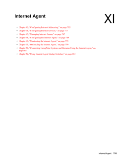 Internet Agent