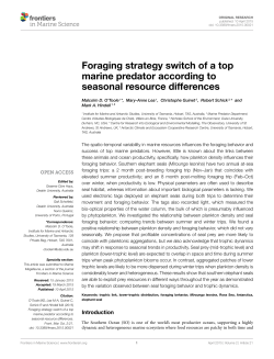 Foraging strategy switch of a top marine predator according to