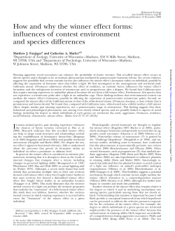 How and why the winner effect forms: influences of contest