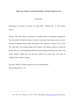 Sunk costs, windows of profit opportunities, and the dynamics of