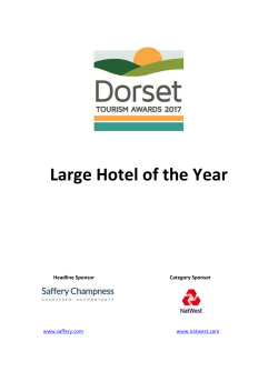 NEW CRITERIA Large Hotel of the Year