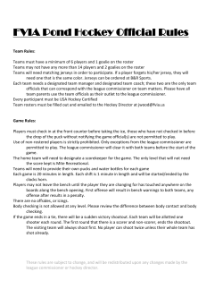 FVIA Pond Hockey Official Rules