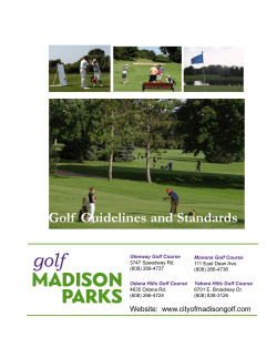 Golf Guidelines and Standards