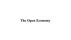 The Open Economy - Assignment Done