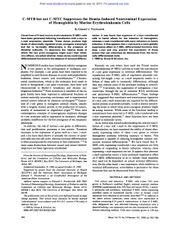 C-MYB but not C-MYC Suppresses the Hemin