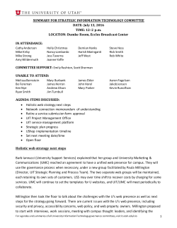 SUMMARY FOR STRATEGIC INFORMATION TECHNOLOGY