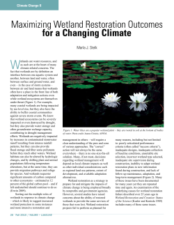 Maximizing Wetland Restoration Outcomes for a Changing Climate