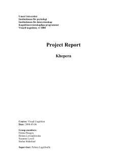 Rapport &ndash; Khepera - Ume&aring; universitet