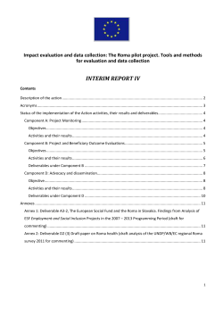 final narrative report