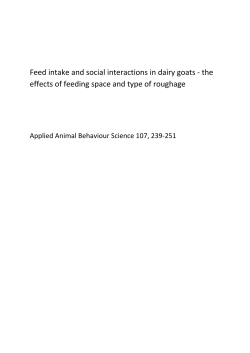 Feed intake and social interactions in dairy goats