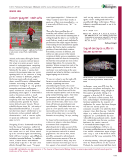 Soccer players` trade-offs Squid embryos suffer in future summer