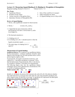 Oxygen binding * Myoglobin and Hemoglobin