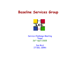 LCG Baseline Services Working Group