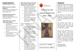 pMAP leaflet example