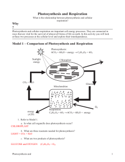 Model 1 – Comparison of Photosynthesis and Respiration