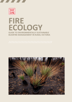 Guide to managing environmental risks in fire management in rural