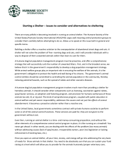 Starting a Shelter &ndash; issues to consider and alternatives to sheltering