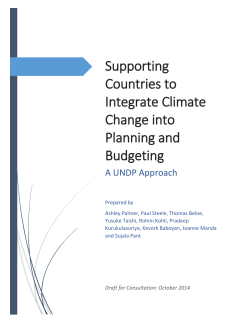 UNDP Approach Paper final draft for consultation 20 Oct