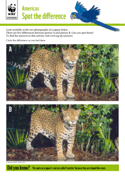 Spot the di erence - WWF