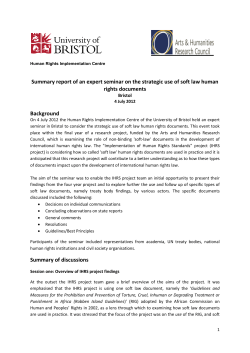 Seminar on the strategic use of soft law human rights documents