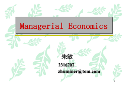 Managerial Economics