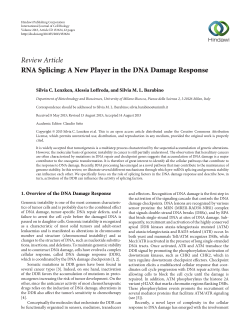 RNA Splicing: A New Player in the DNA Damage Response