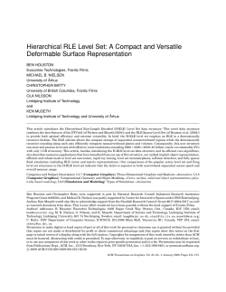 Hierarchical RLE Level Set: A Compact and Versatile