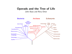 Operads and the Tree of Life