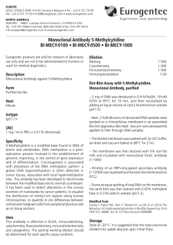 Monoclonal Antibody 5-Methylcytidine BI-MECY-0100