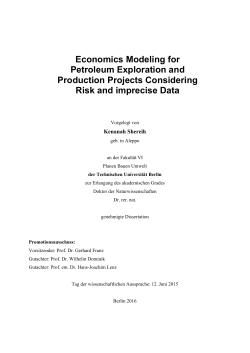 Economics Modeling for Petroleum Exploration and