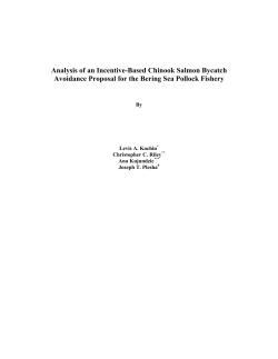 Analysis of an Incentive-Based Chinook Salmon Bycatch Avoidance