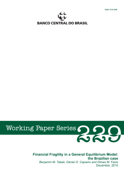 Financial Fragility in a General Equilibrium Model: the Brazilian case