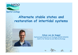 Alternate stable states and restoration of intertidal systems