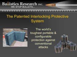 3D IPS Blast Test