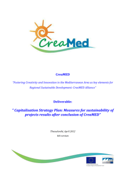 Capitalisation Strategy Plan: Measures for sustainability