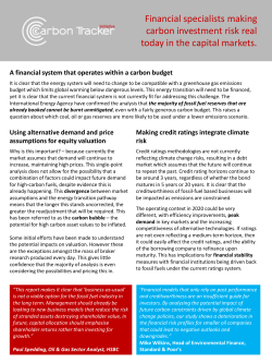 Financial specialists making carbon investment risk real today in the