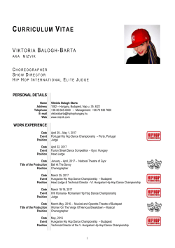 mizvik cv - Mizvik.com