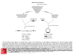 Slide 1 - Ommbid.com