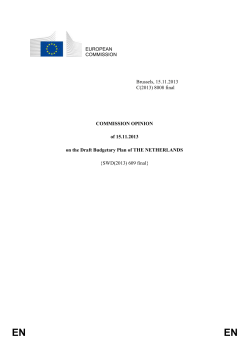EN EN COMMISSION OPINION of 15.11.2013 on the Draft