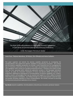 Dynamic capabilities