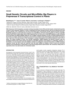 Small Genetic Circuits and MicroRNAs: Big Players in